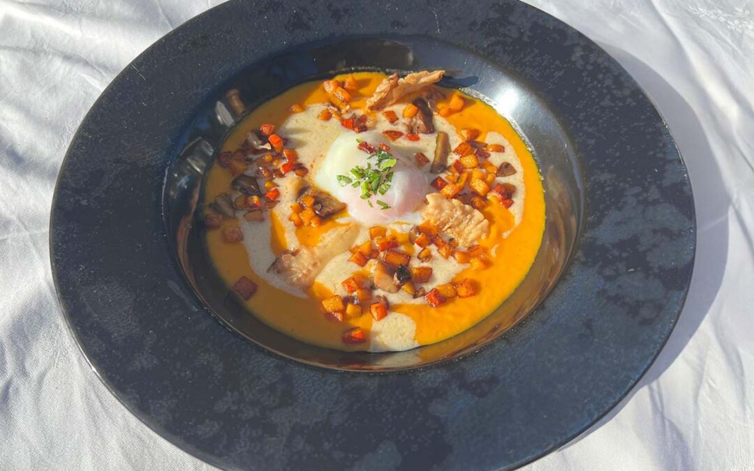 Plat-01-chef-2024-12